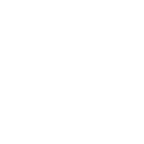 SoluStore (1)